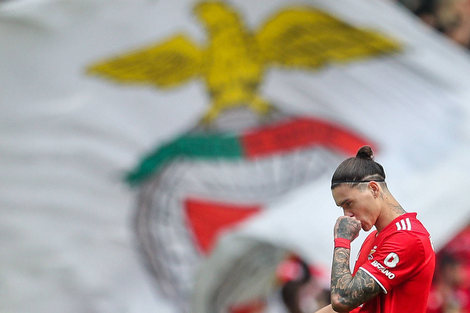 Darwin Núñez Thinking Benfica Flag Picture