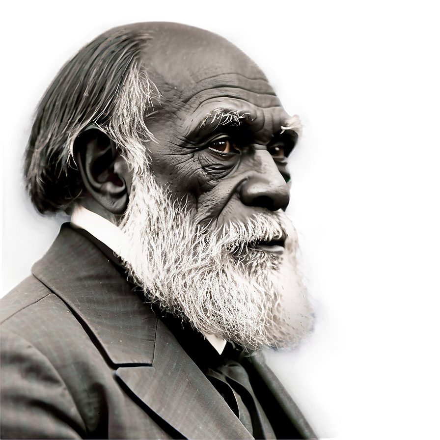 Darwin's Critics And Controversies Png 06252024 PNG