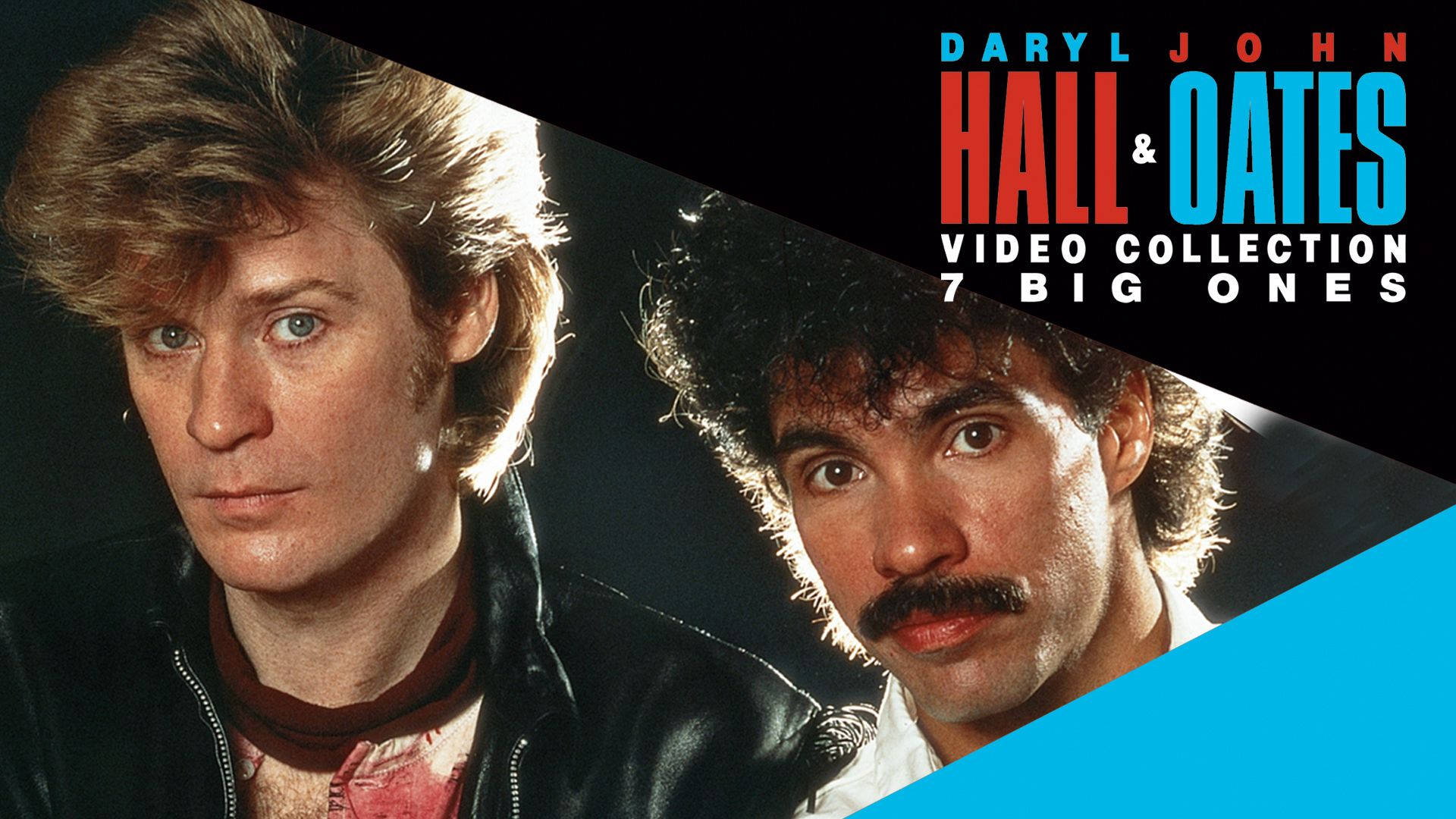 Daryl Hall John Oates Video Collection Art Picture