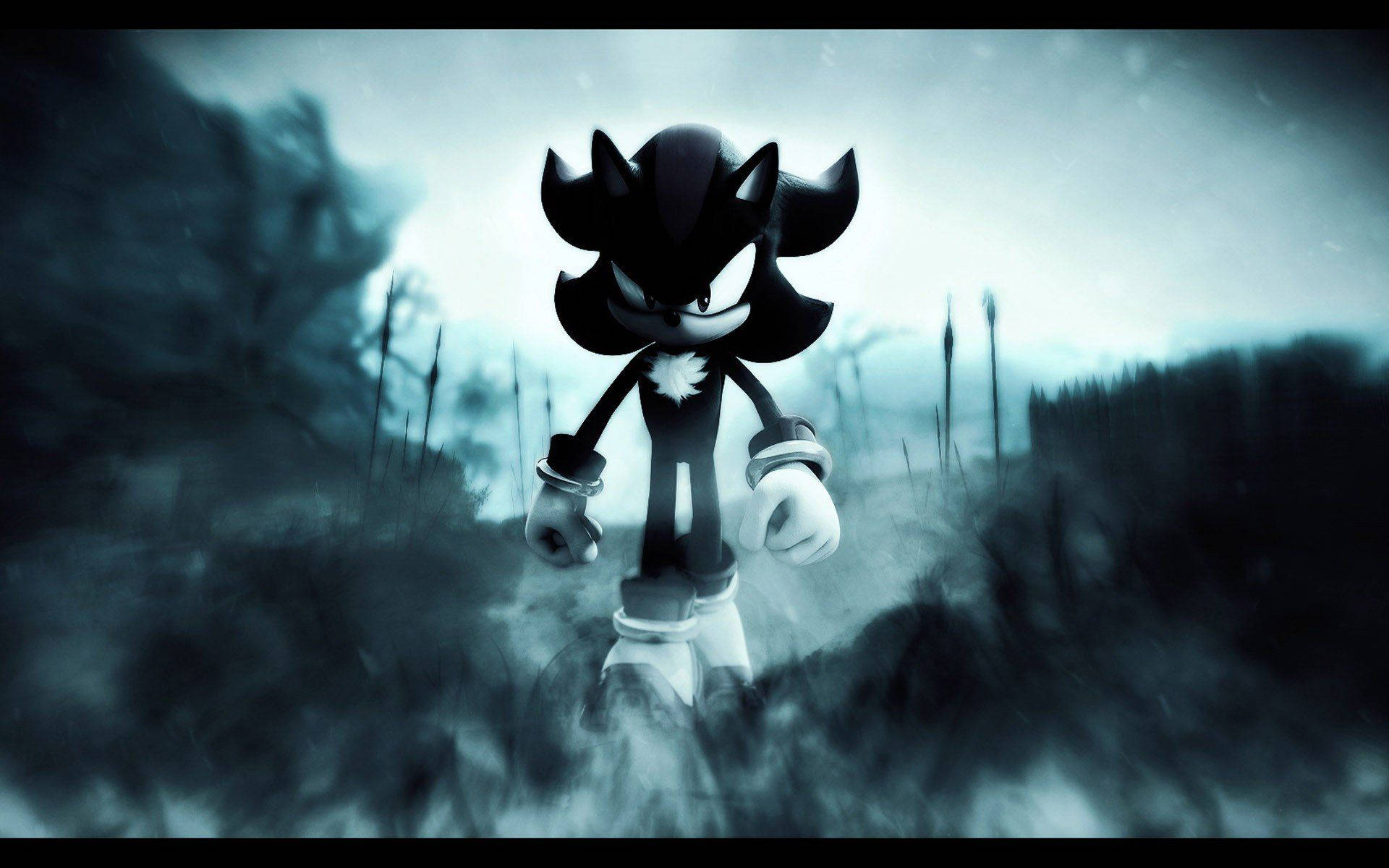 Dashing Dark Sonic