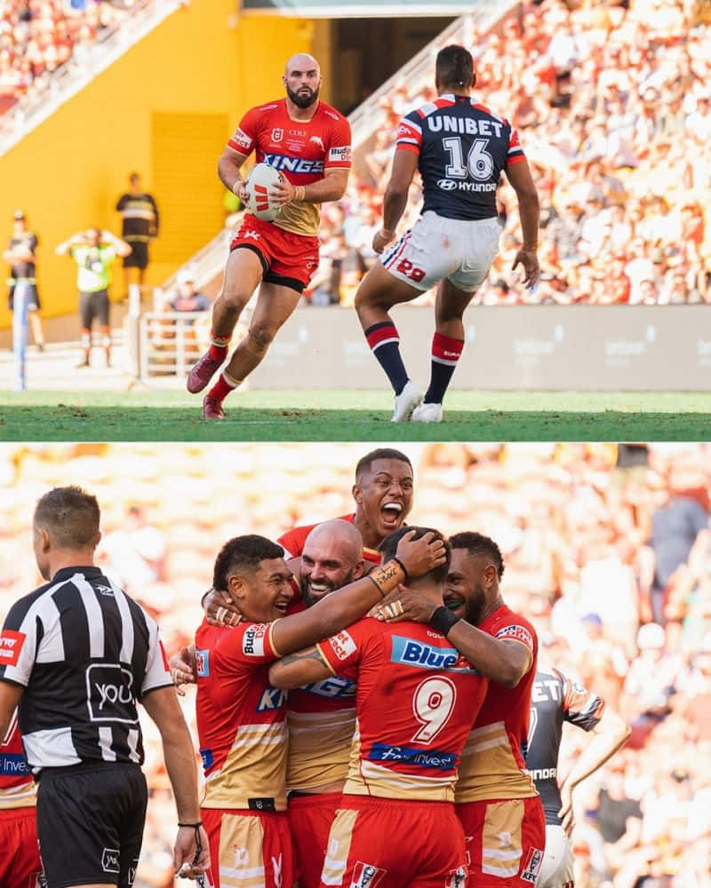 Dauphins Nrl Fond d'écran