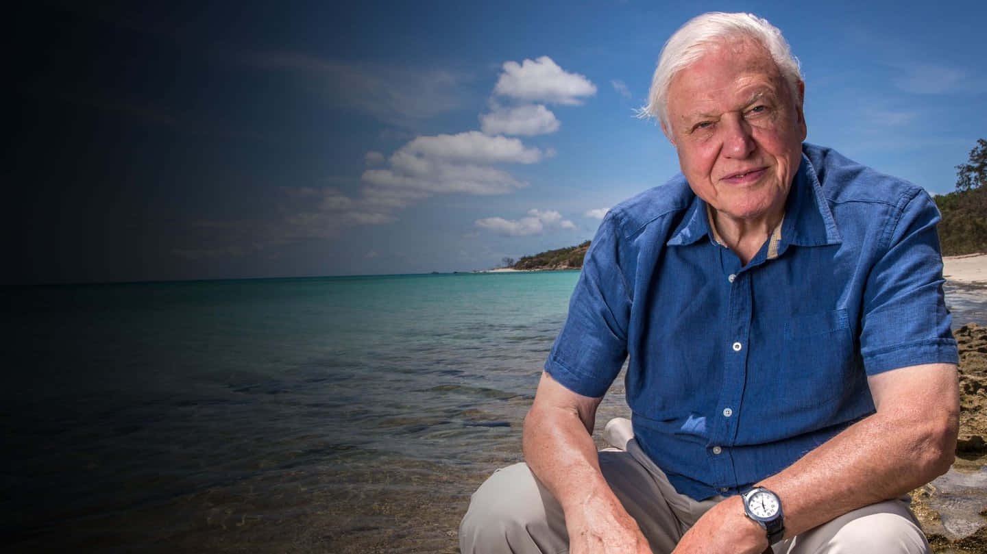 David Attenborough Wallpaper