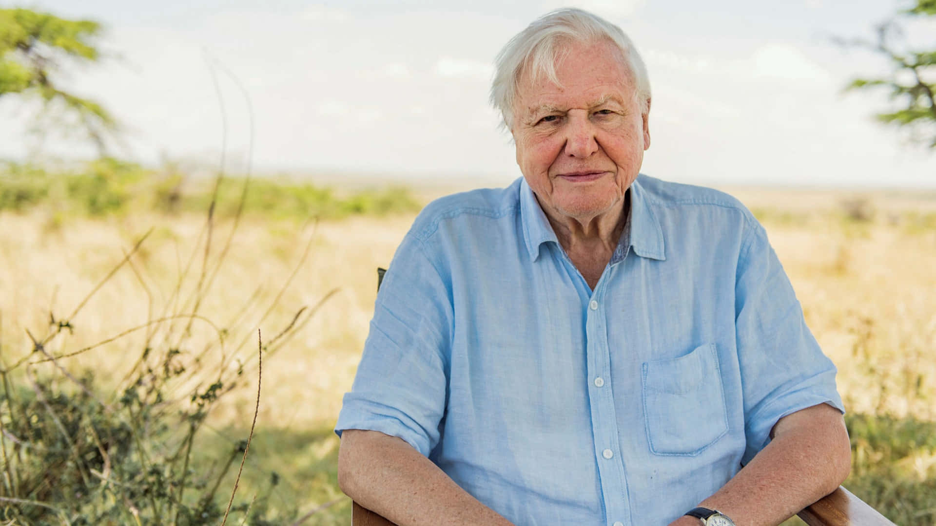 David Attenborough Wallpaper