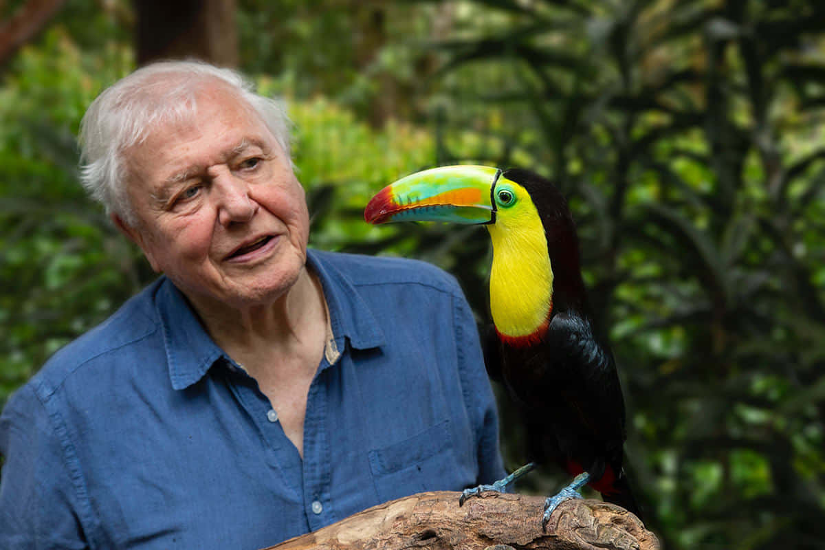 David Attenborough Wallpaper