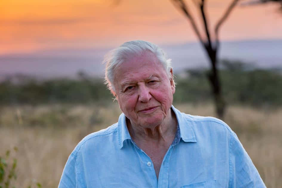 David Attenborough Wallpaper