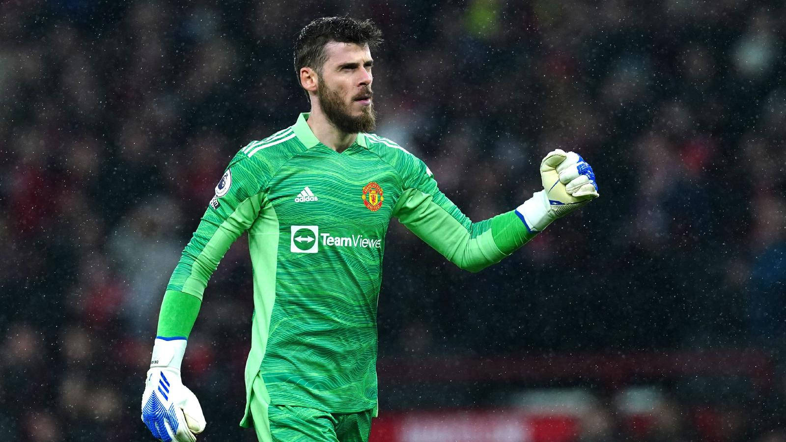 Davidde Geas Knutna Näve (for A Computer Or Mobile Wallpaper With A Picture Of David De Gea Clenching His Fist) Wallpaper