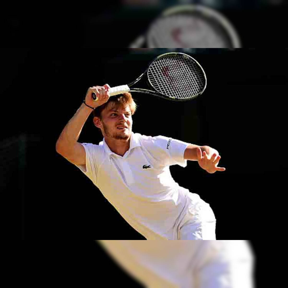 David Goffin All-White Outfit Wallpaper