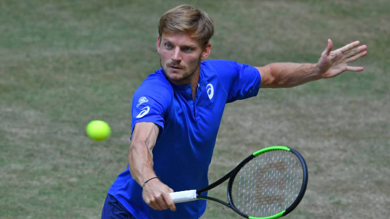 Prominent Tennis Pro David Goffin in an Athleisure Blue Shirt Wallpaper