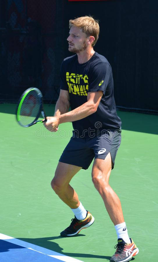 David Goffin Playing On Tennis Court Wallpaper