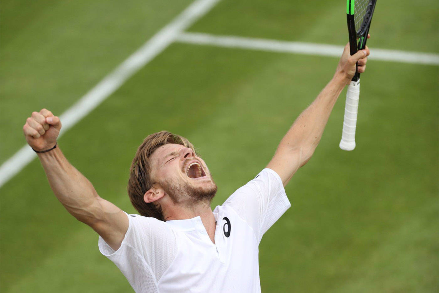David Goffin Shouting In Happiness Wallpaper