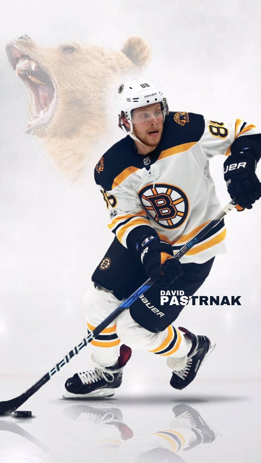 David Pastrnak Boston Bruins Grizzly Bear Hockey Tapet. Wallpaper