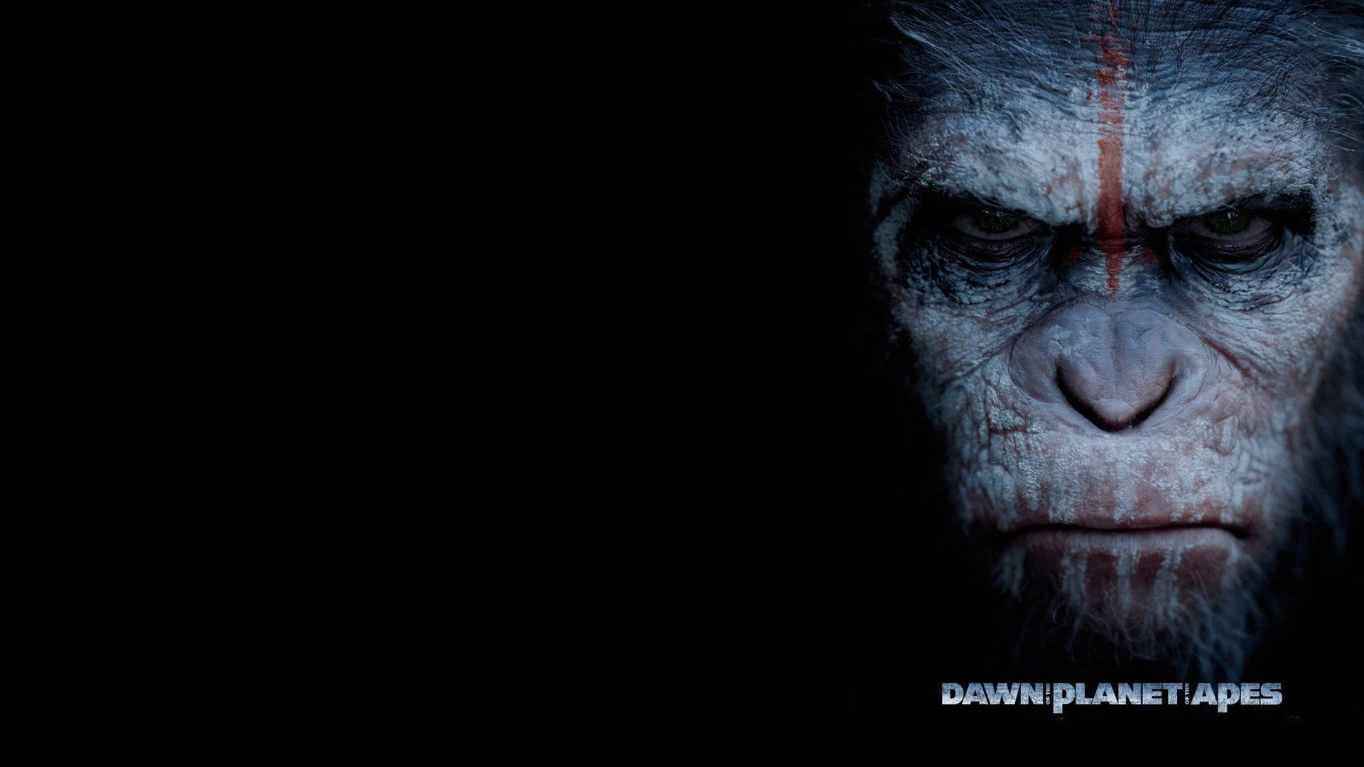 Dawn Of The Planet Of The Apes Movie Poster Wallpaper