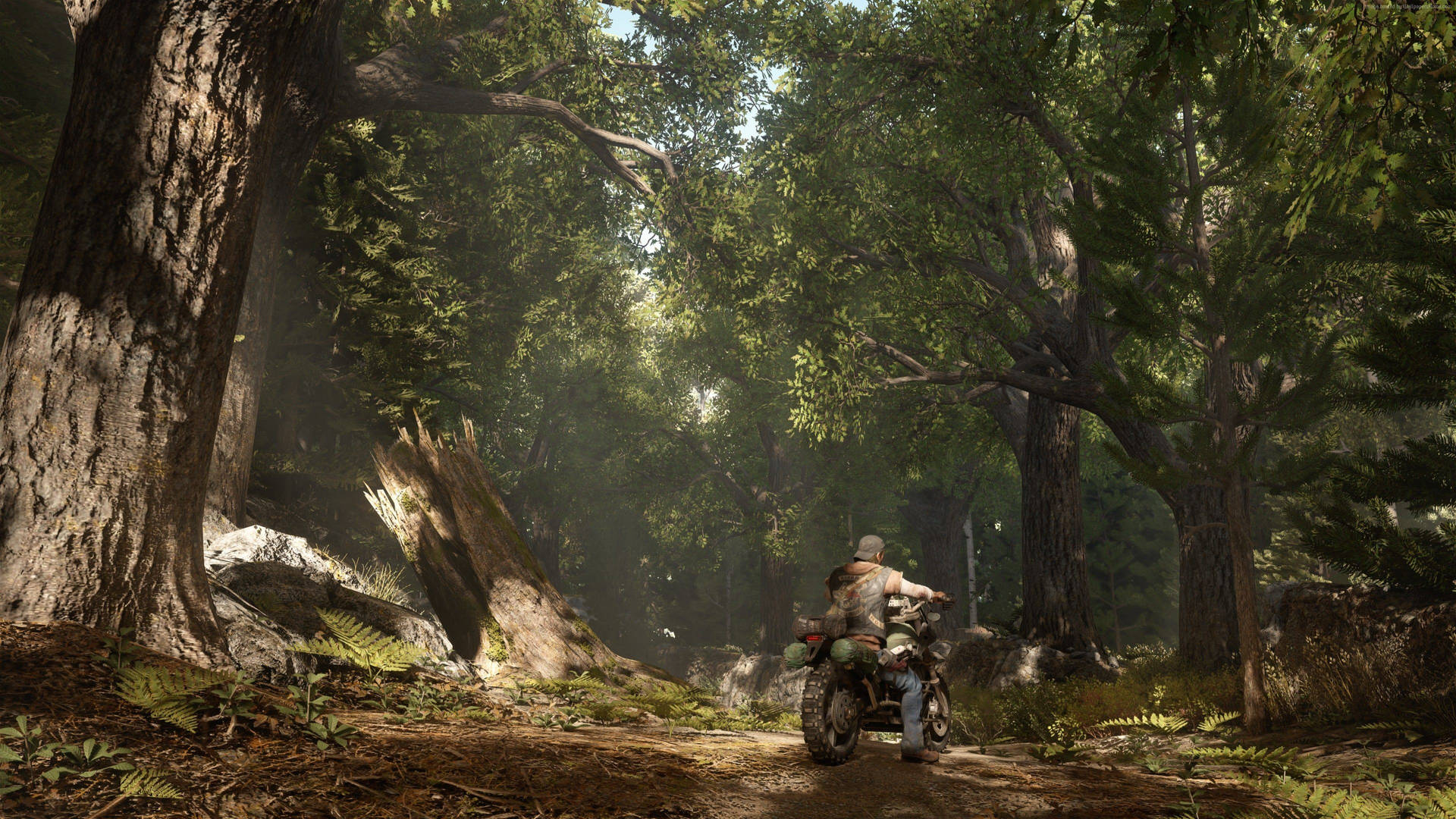 Ride into the wild on your trusty bike in Days Gone Wallpaper