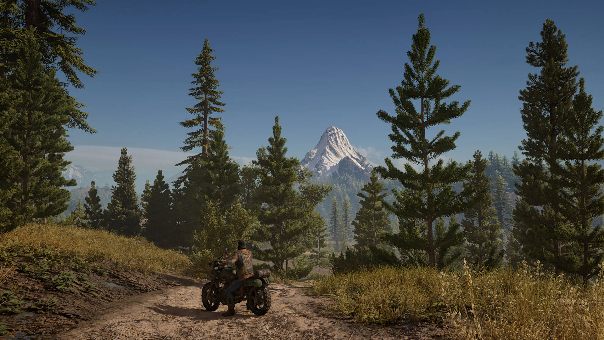 Days Gone In Mountain
