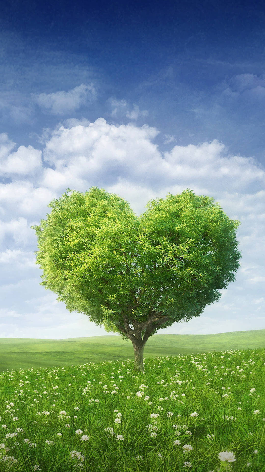 Daytime Tree Love Nature Wallpaper