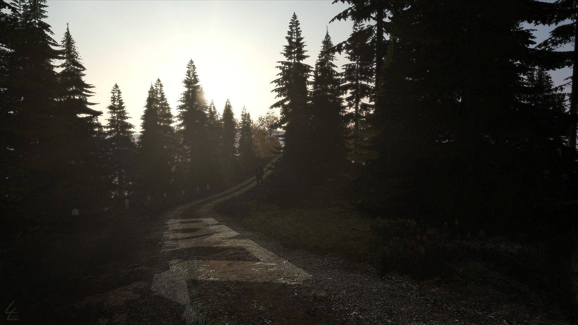 Dayz Dirt Path Picture