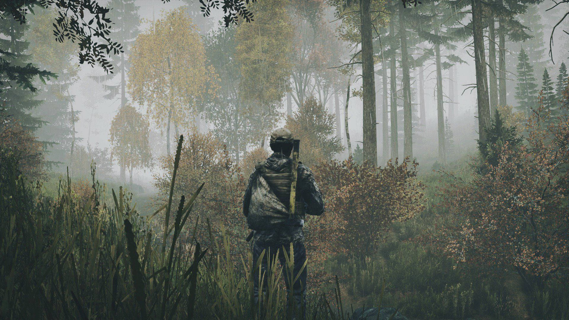 DayZ Foggy Forest Wallpaper