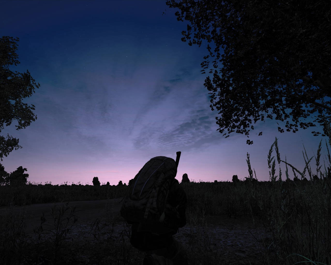 Dayz Game Silhouette Picture