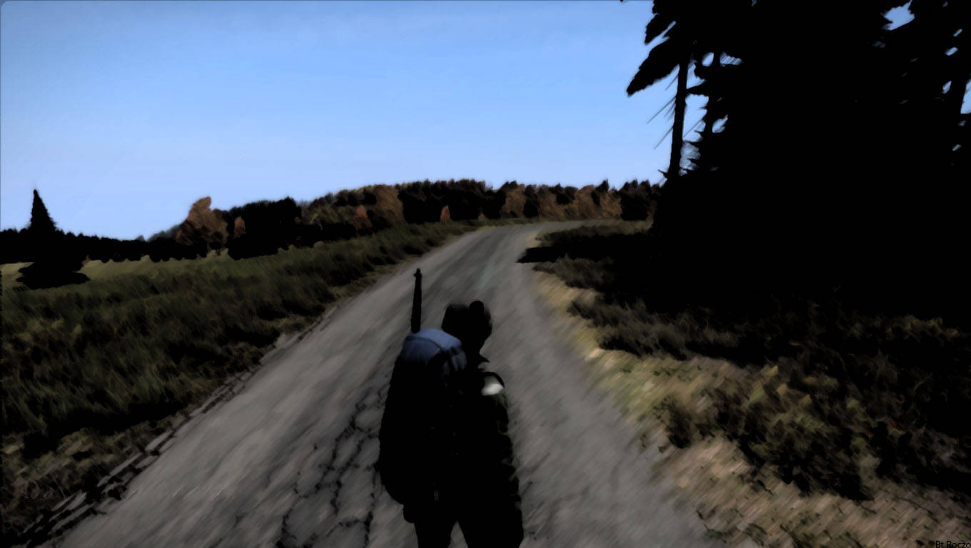 Dayz Man On An Empty Road Picture