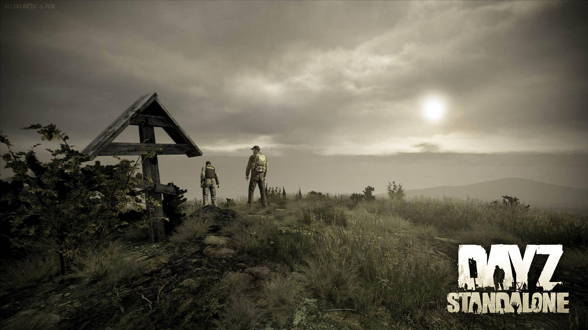 Dayz Standalone Game Picture
