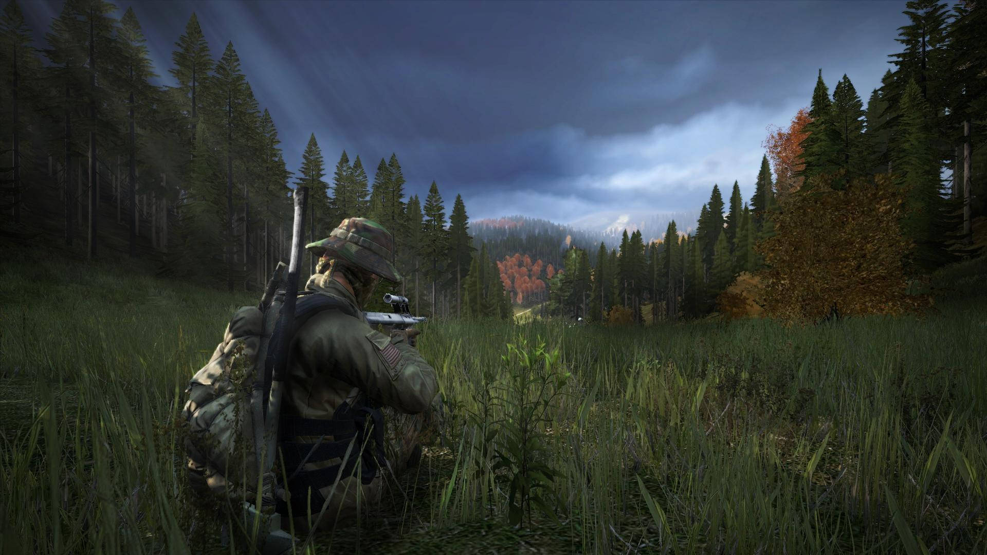 Dayz Video Game Sniper Picture