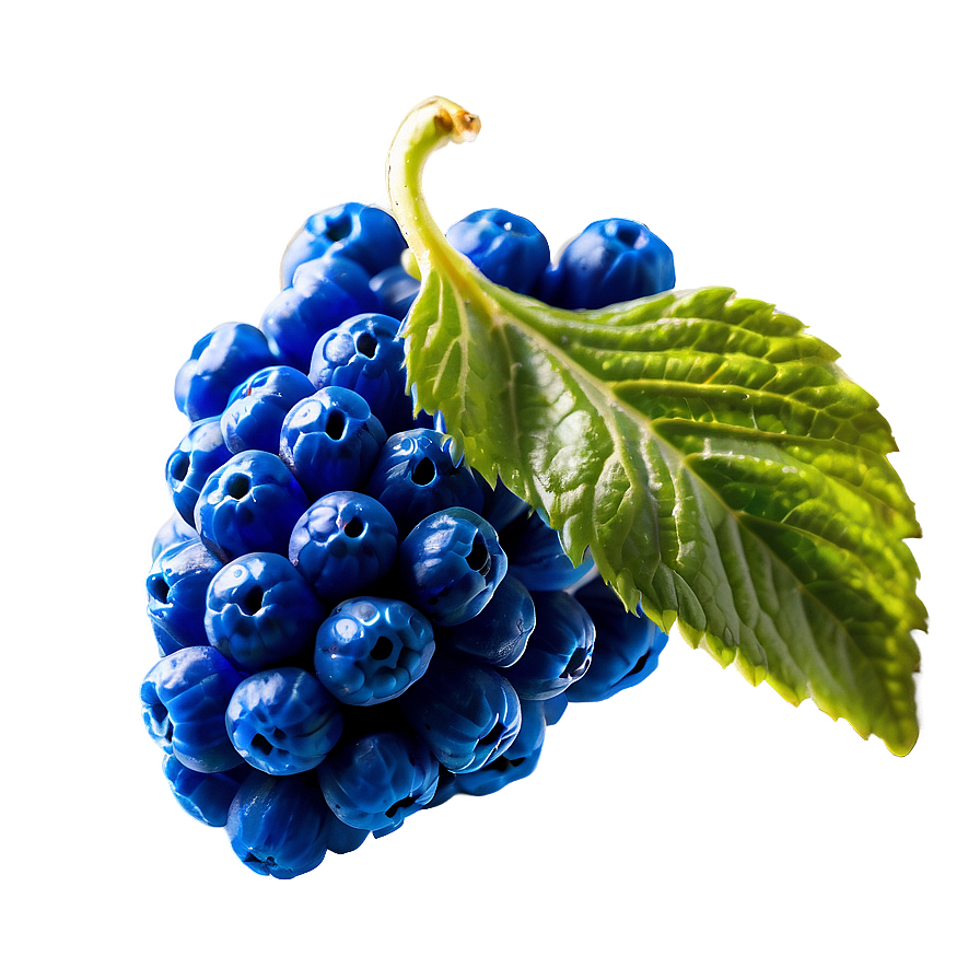 Dazzling Blue Raspberry Png 06212024 PNG