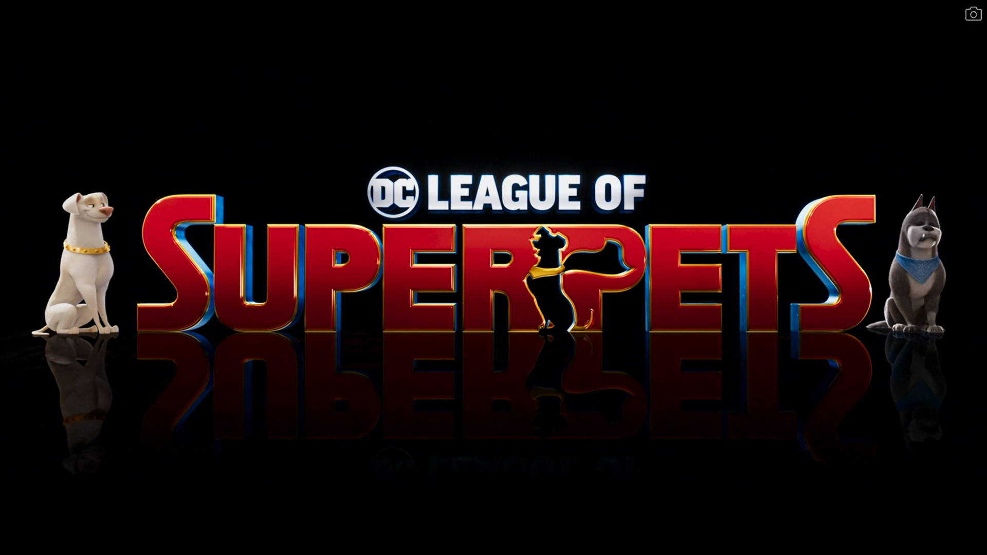 Dc League Of Super Pets Logo With Ace