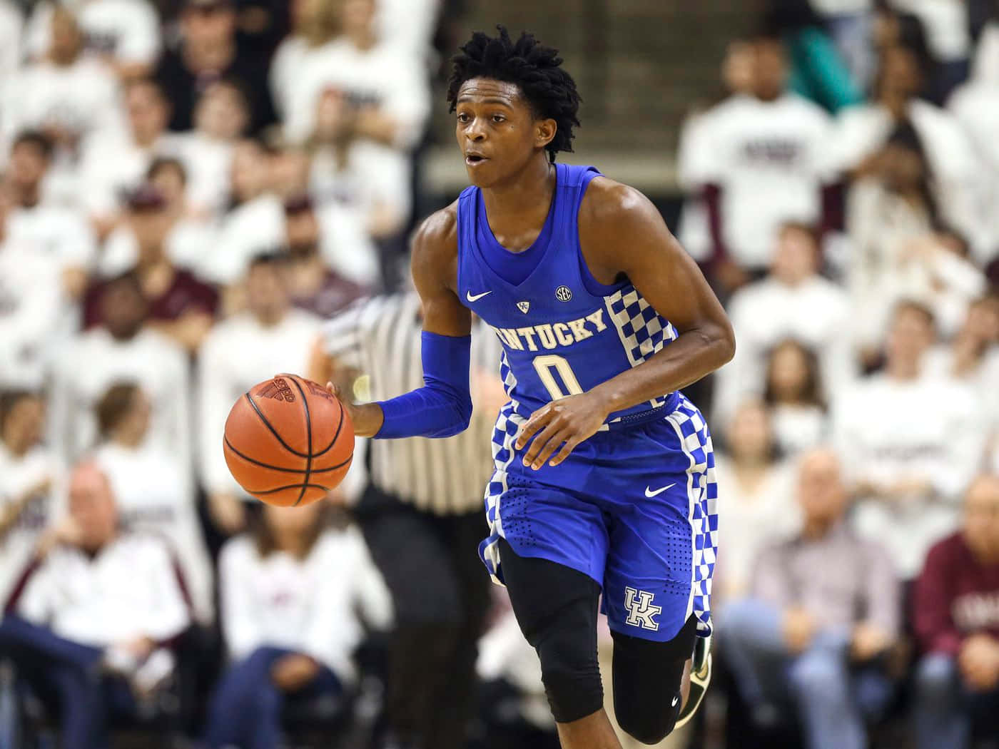 21,545 Deaaron Fox Photos & High Res Pictures - Getty Images