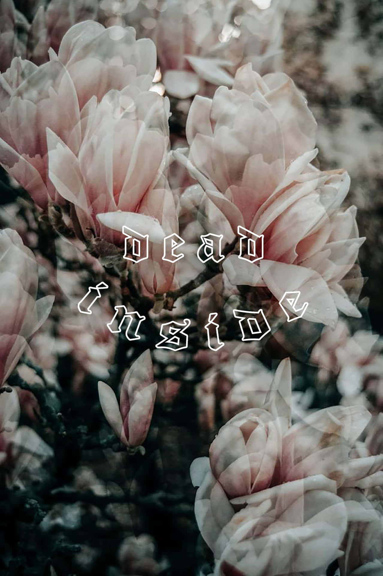 A Photo Of Flowers With The Words Dean Inside Wallpaper