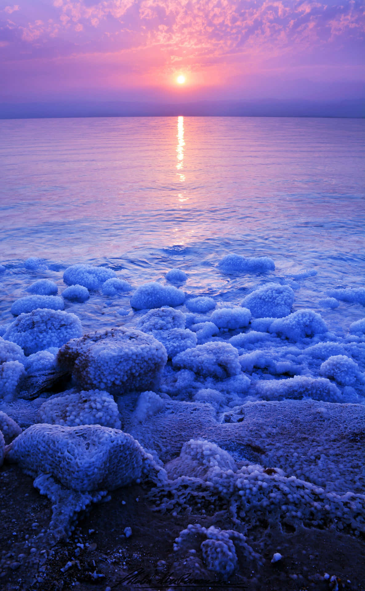 Søen Dead Sea med klumper af salt på stranden Wallpaper