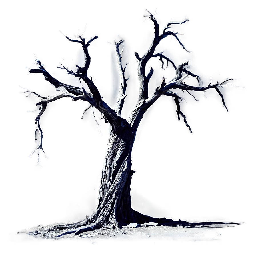 Dead Tree In Desert Png 05252024 PNG