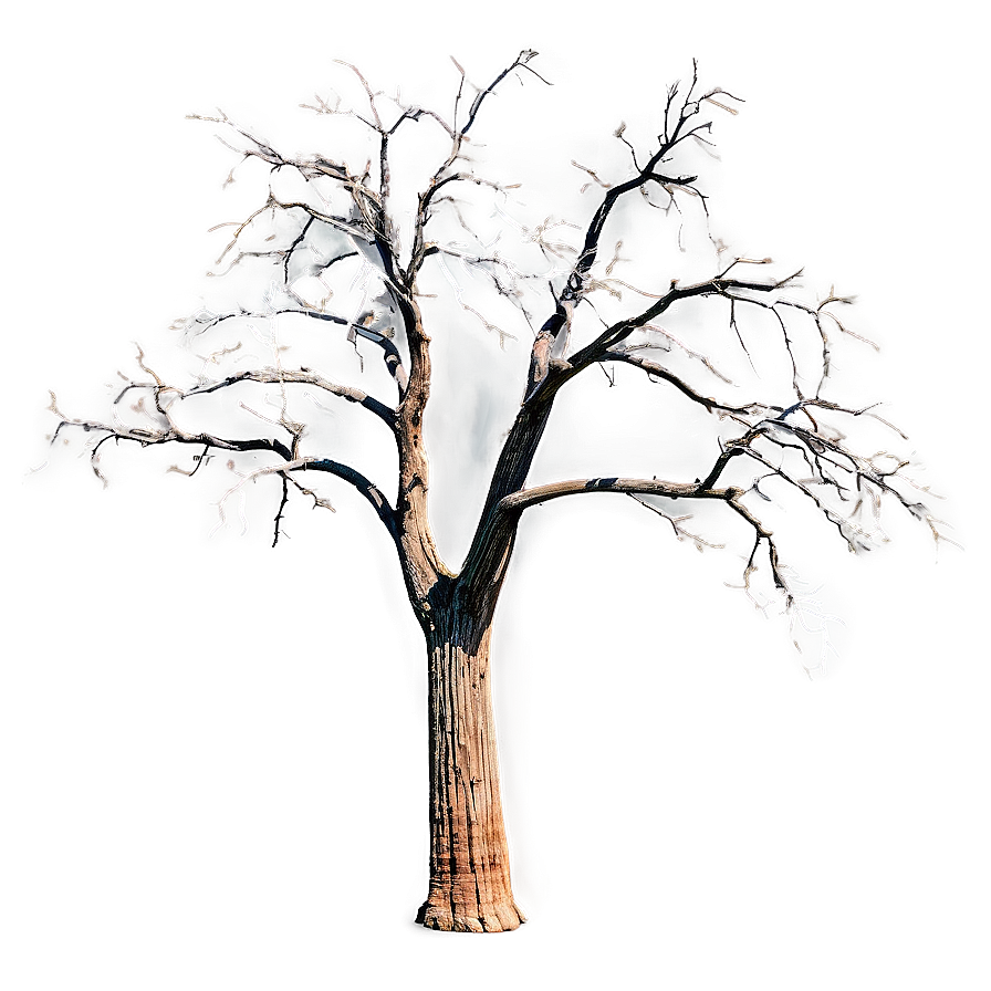 Dead Tree In Desert Png 05252024 PNG