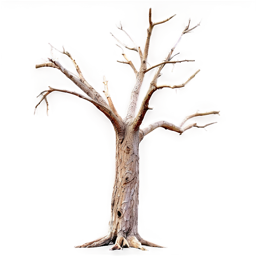 Dead Tree On Dark Background Png Fdk20 PNG