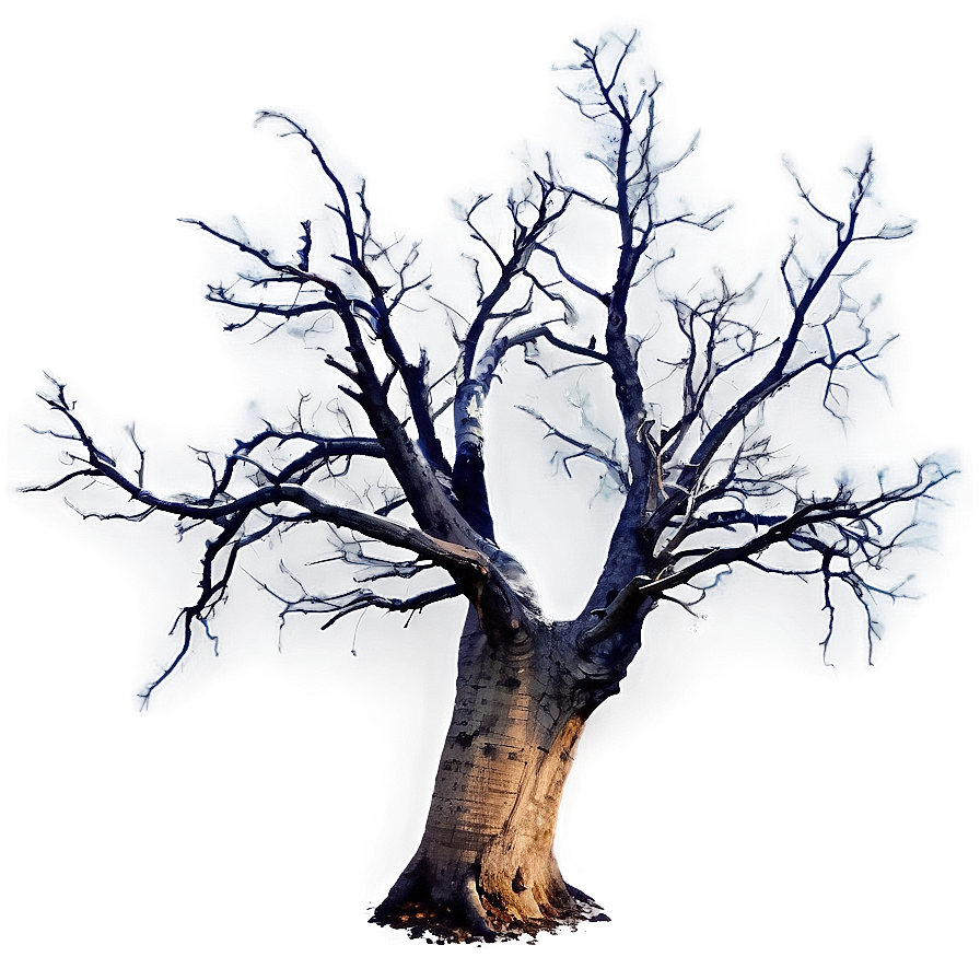 Dead Tree On Dark Background Png Lcc PNG