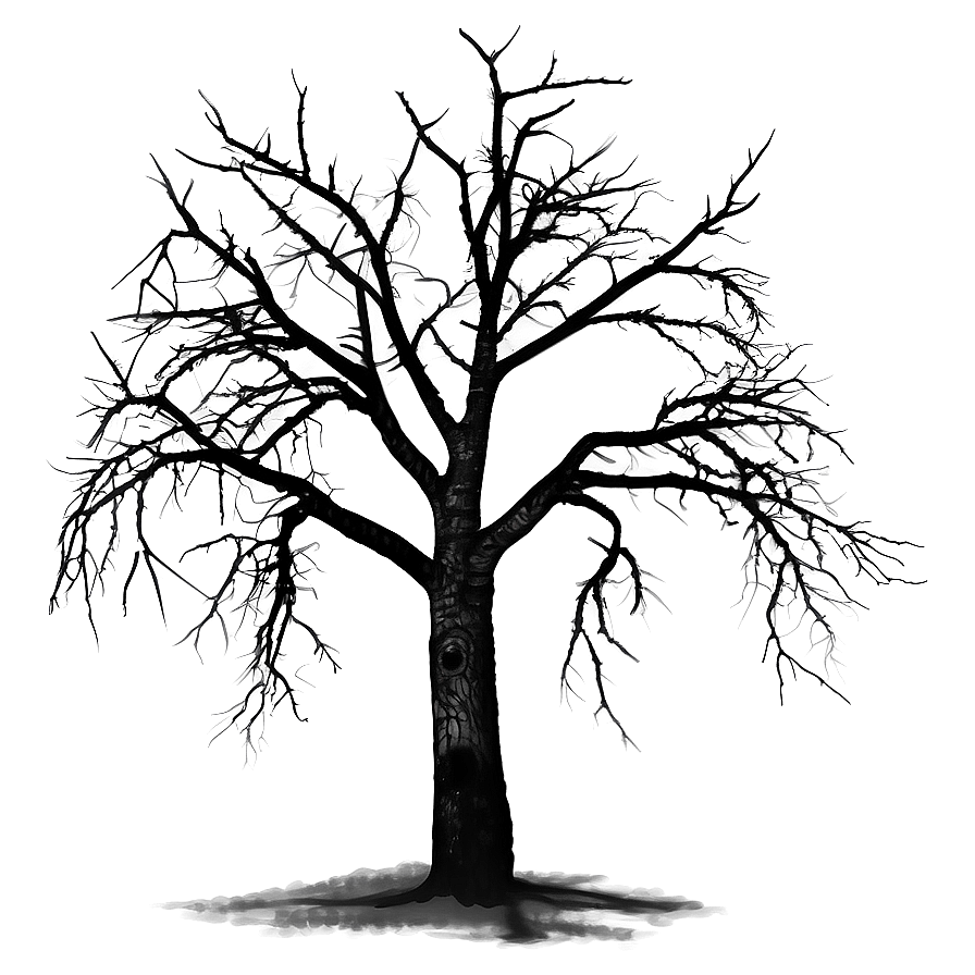 Dead Tree On Dark Background Png Vcq PNG