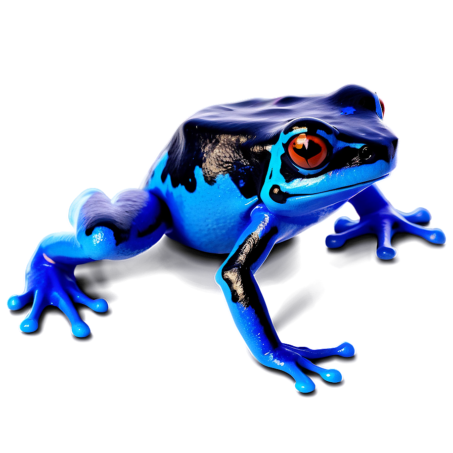 Deadly Poison Dart Frog Png 74 PNG