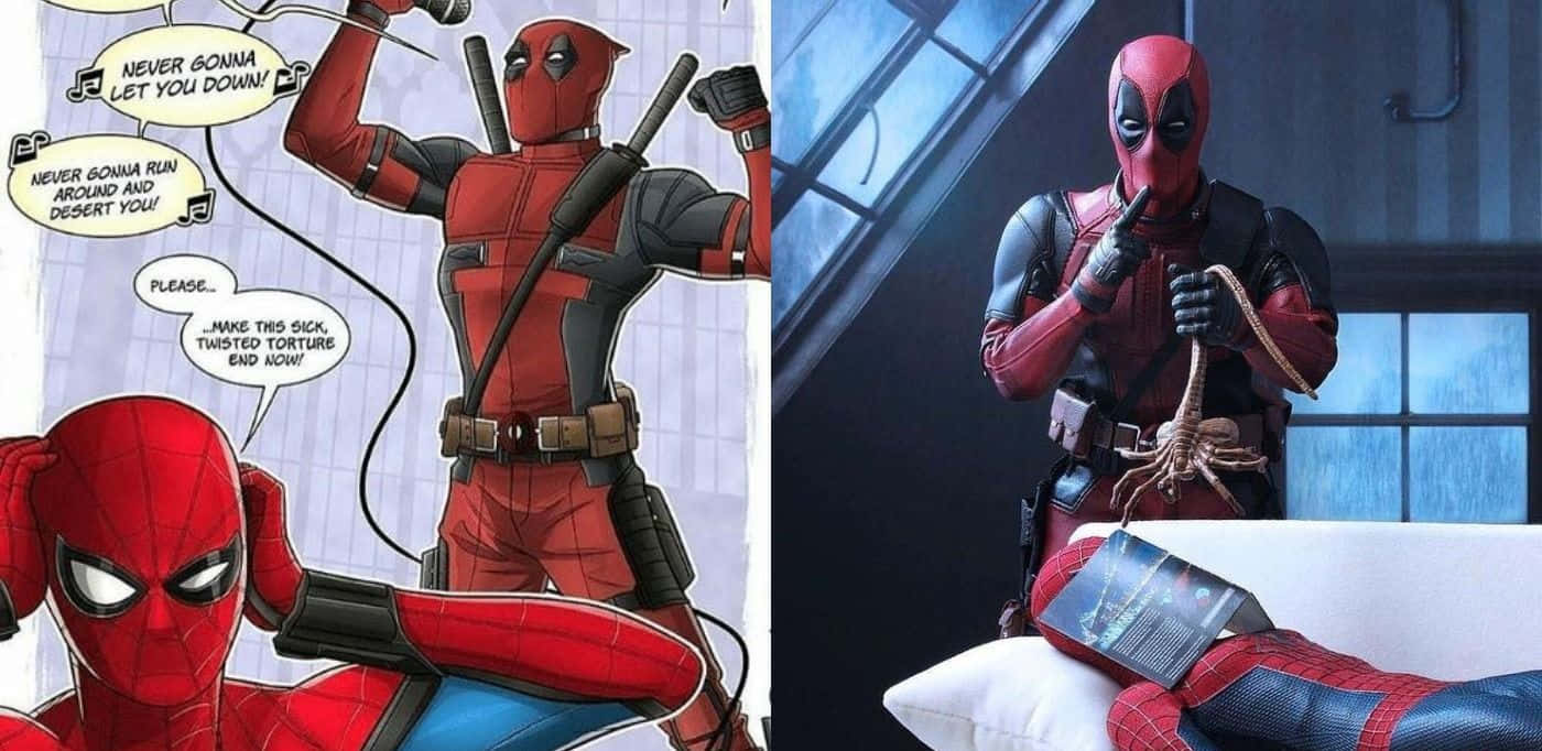 Deadpool and Spiderman: Ultimate Team-up Wallpaper