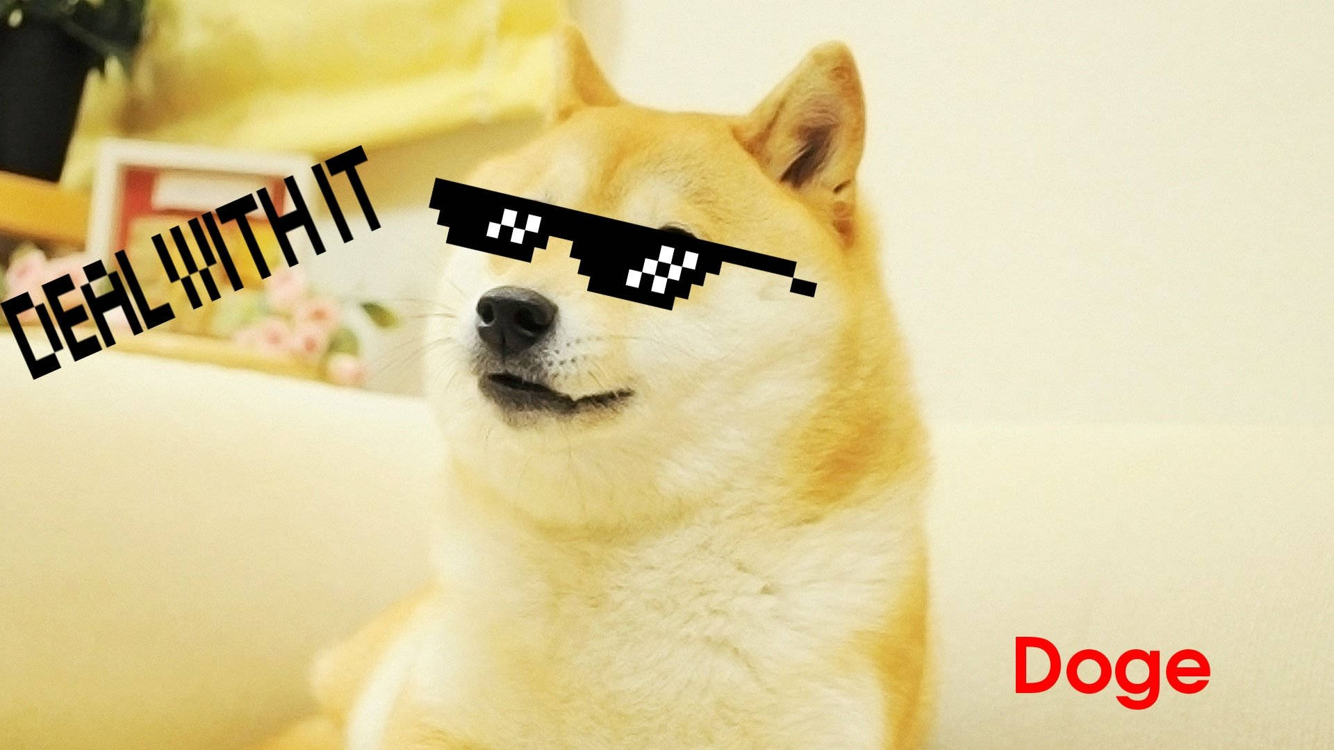 Deal With It Doge Meme Wallpaper
