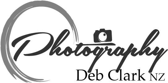 Deb Clark N Z Photography Logo PNG