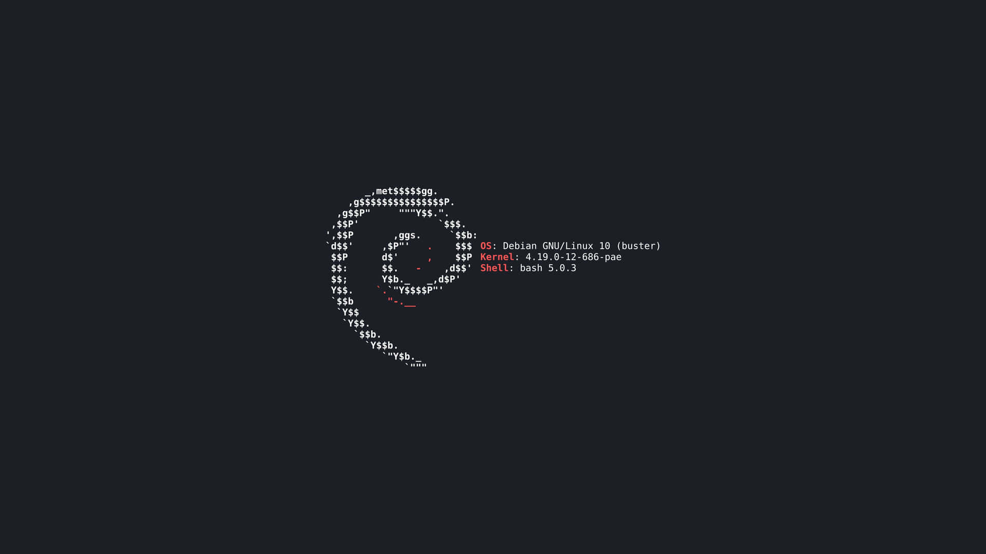 Debian A S C I I Art Login Screen Wallpaper