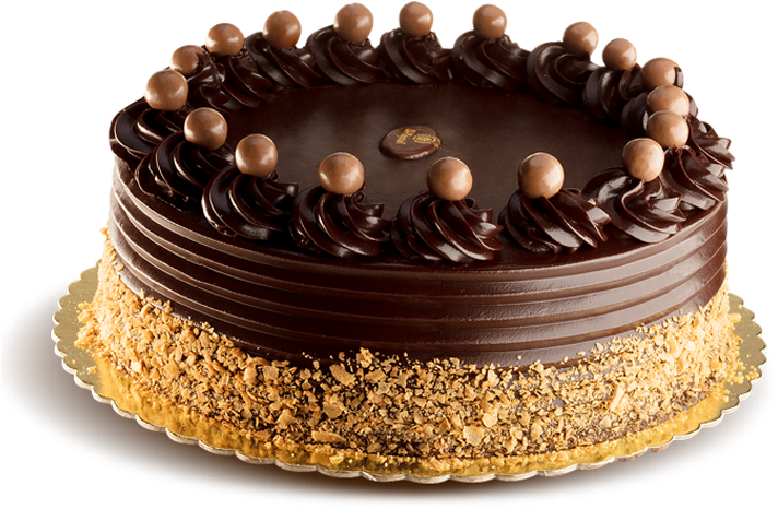 Decadent Chocolate Cake PNG