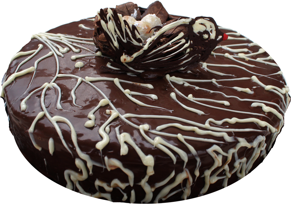 Decadent Chocolate Cakewith White Drizzle PNG