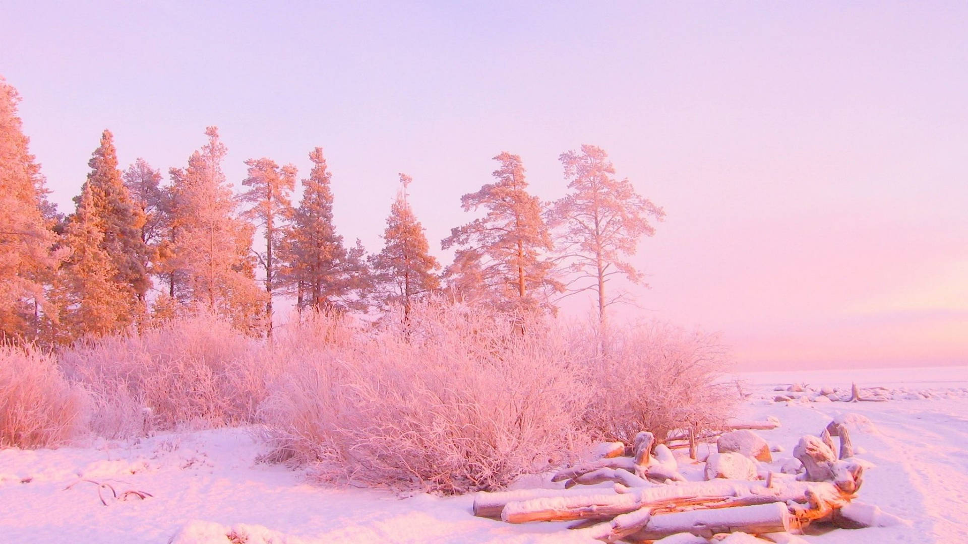 December Pink Winter Wonderland