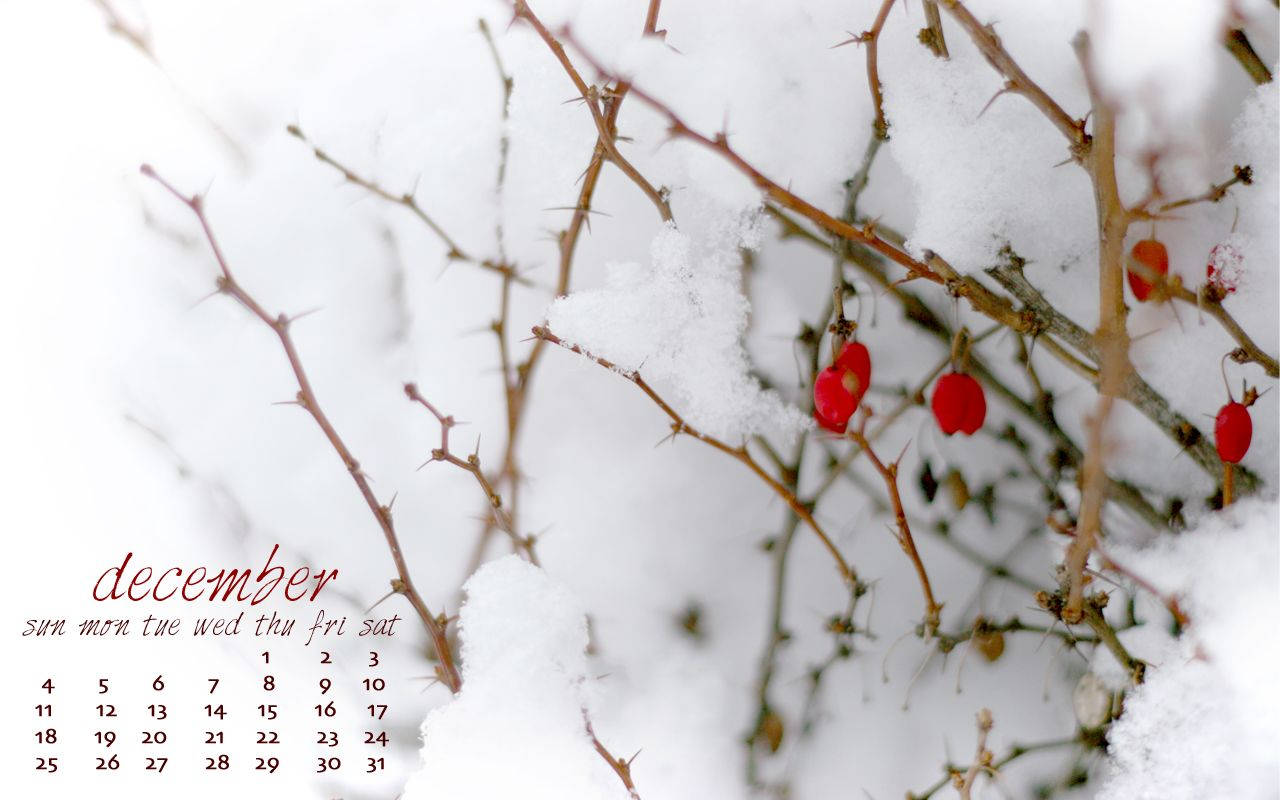 December Snow And Berries Calendar
