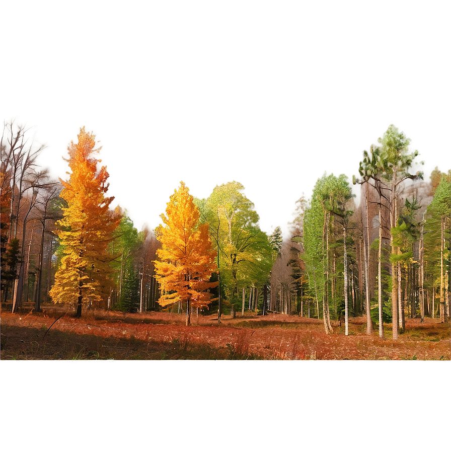 Deciduous Forest Panorama Png Gfe PNG