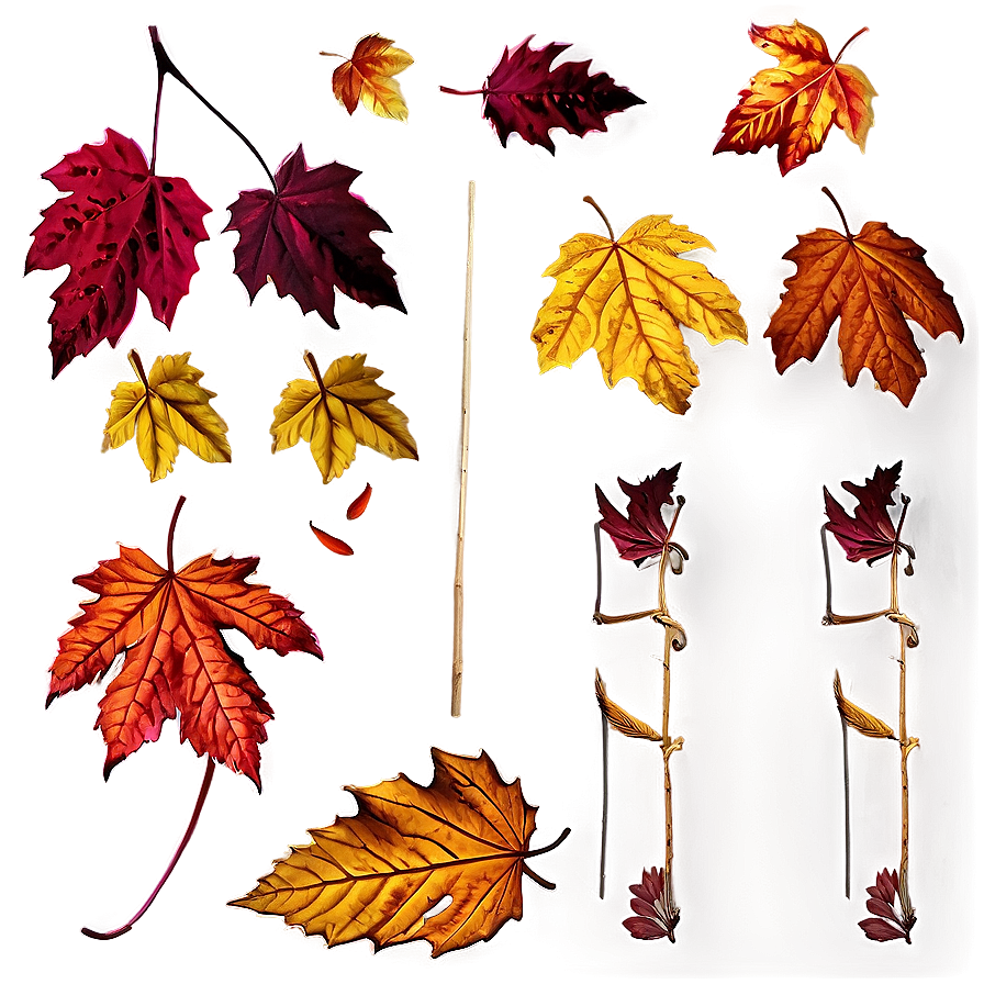 Deciduous Leaves Falling Png 76 PNG