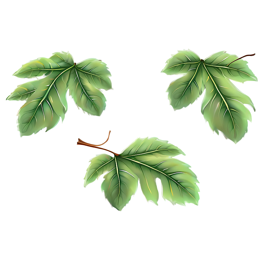 Deciduous Leaves Falling Png Duw PNG