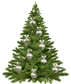 Decorated Christmas Tree Black Background.jpg PNG