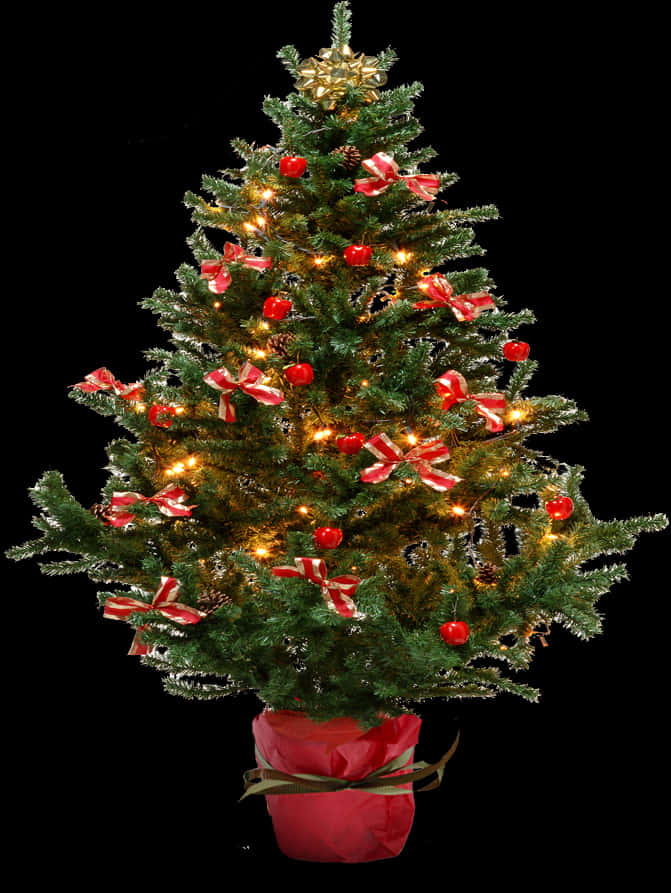 Decorated Christmas Treewith Lights PNG