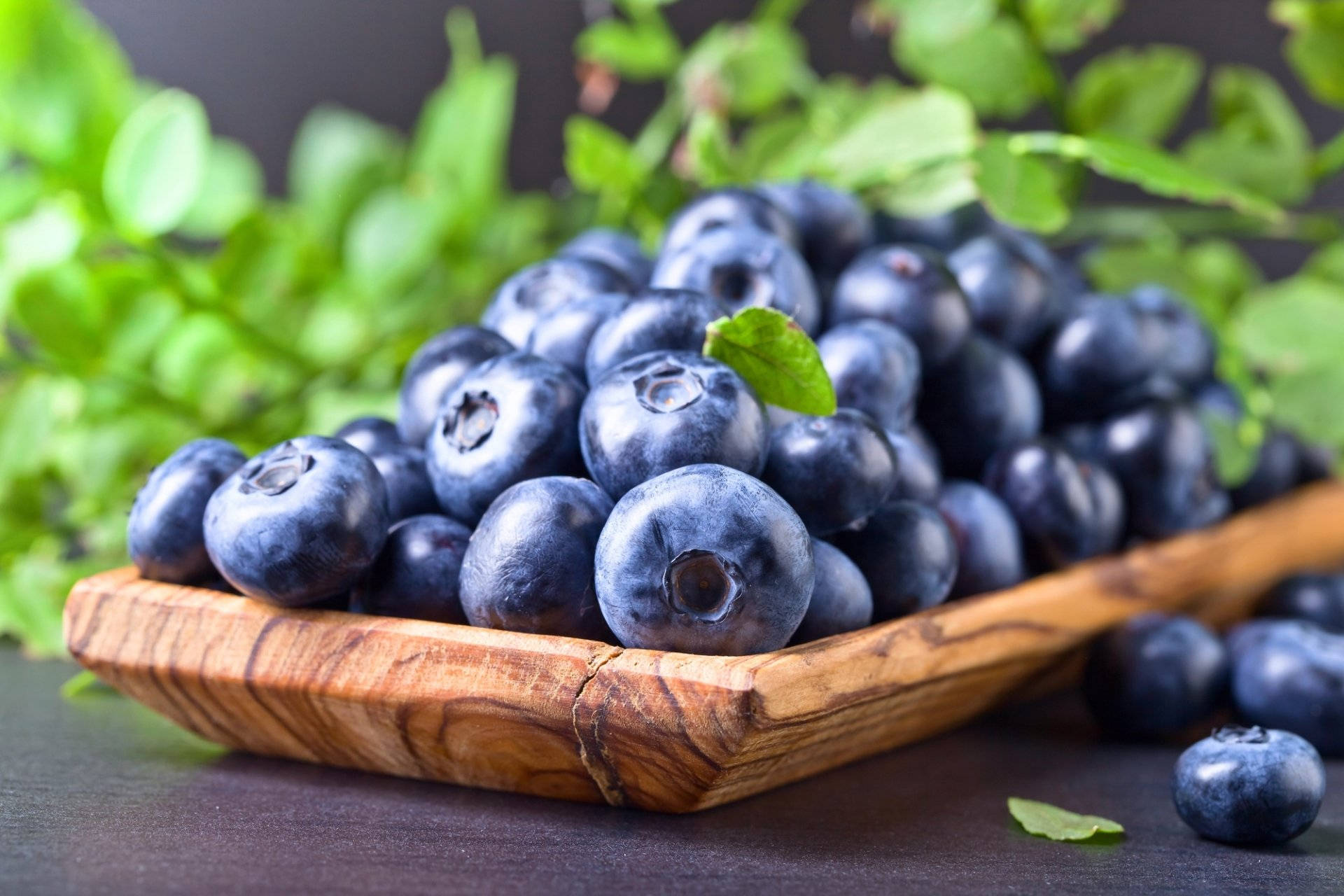 Decorated Counter Of Blueberries Wallpaper